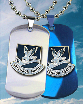 Stainless Steel Air Force Veteran Dog Tag