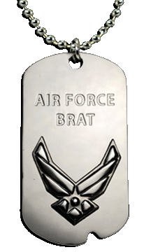 Air Force Stainless Steel Brat