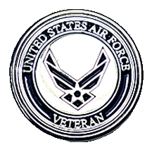 Air Froce Veteran Pin