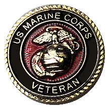 Marine Veteran Pin
