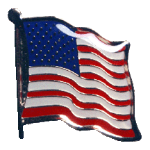 American Flag Pin