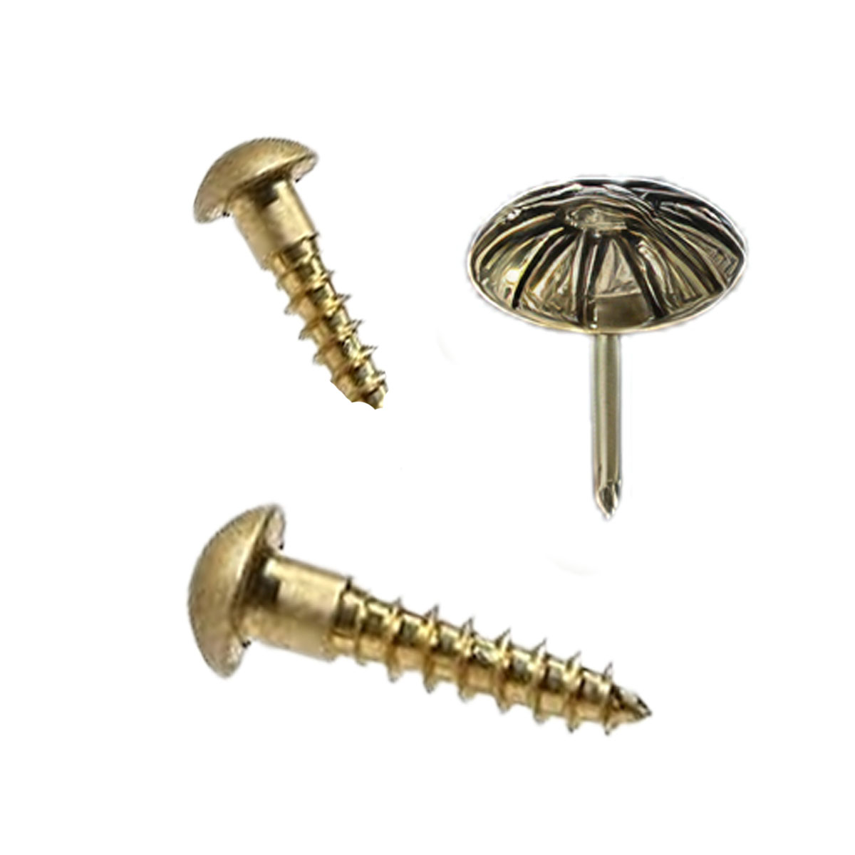Flag case plaque mounting hardware with brass screws and domed nail