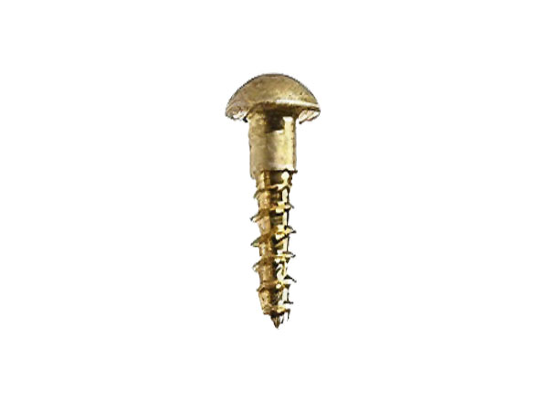 1/2 inch Brass Plaque Screw